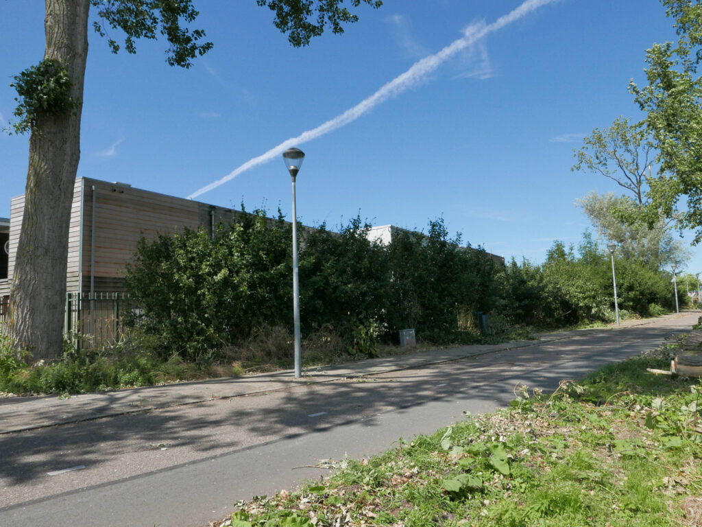 Langs de ijsbaan zijn op 10 juli twee populieren verwijderd die een gevaar voor de veiligheid van de fietsers vormden. 